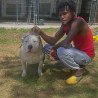 Dog Featured Image