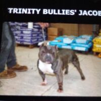 Trinity boys Jacob