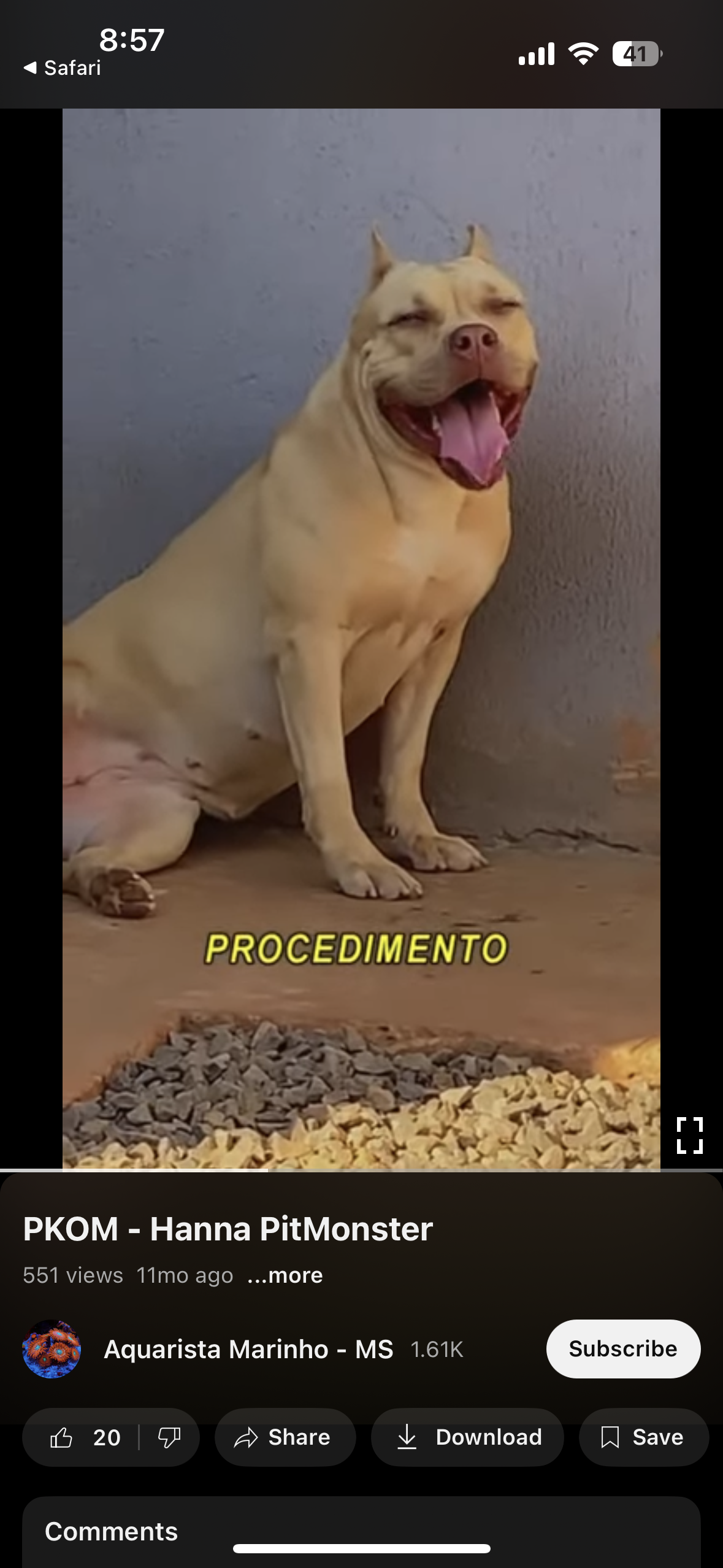 Dog Featured Image