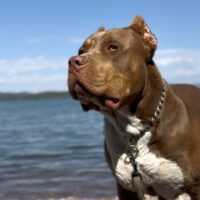 Sampson of MTB