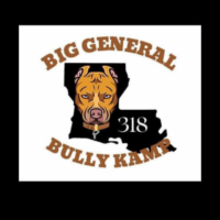 THB WHAM OF BGBK318 X OBK Honey