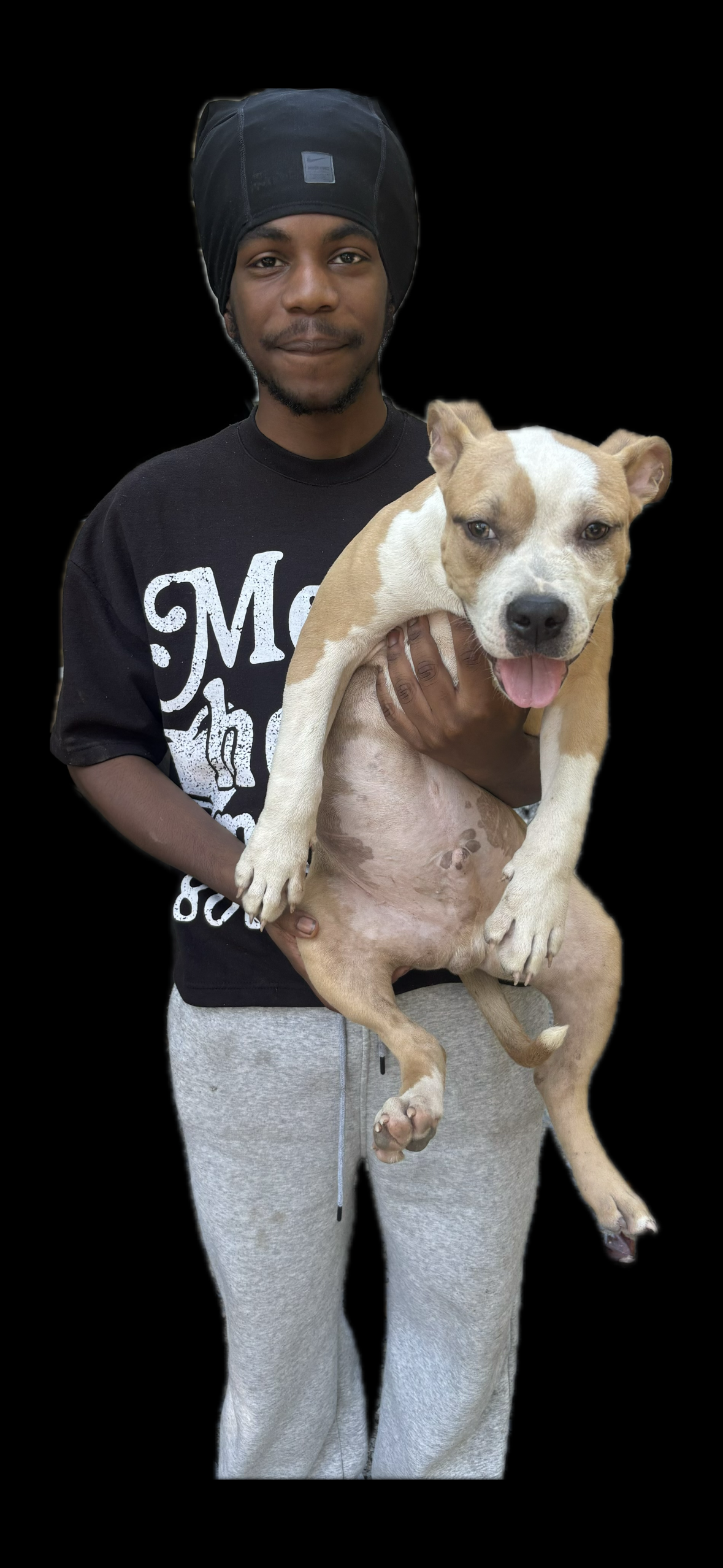 Dog Featured Image