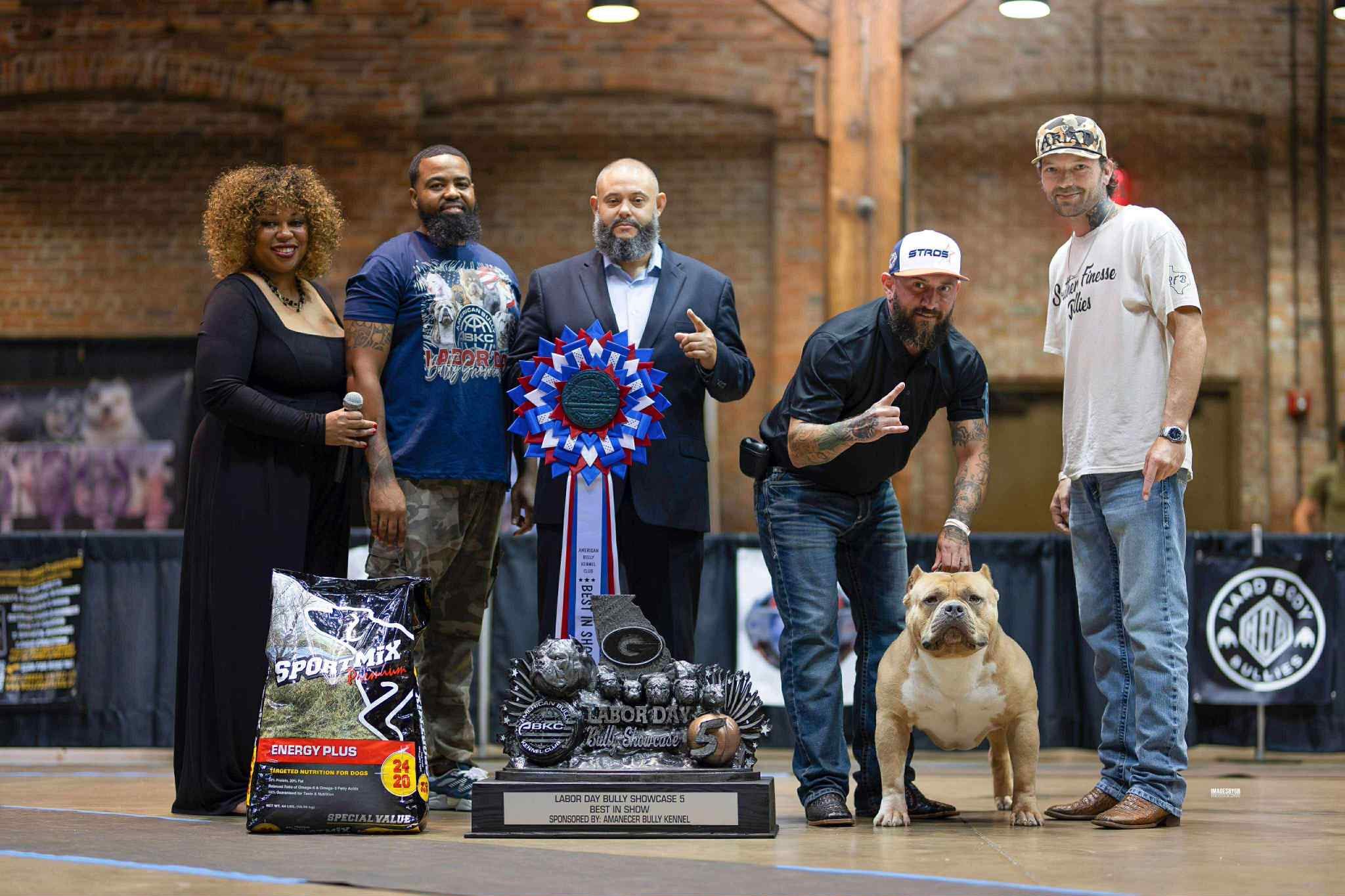 Dog Featured Image