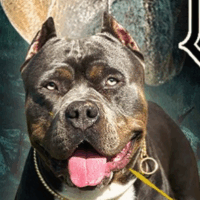 Blue Bloodline’s Cezar