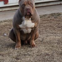 Zeke