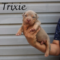 970’s Trixie