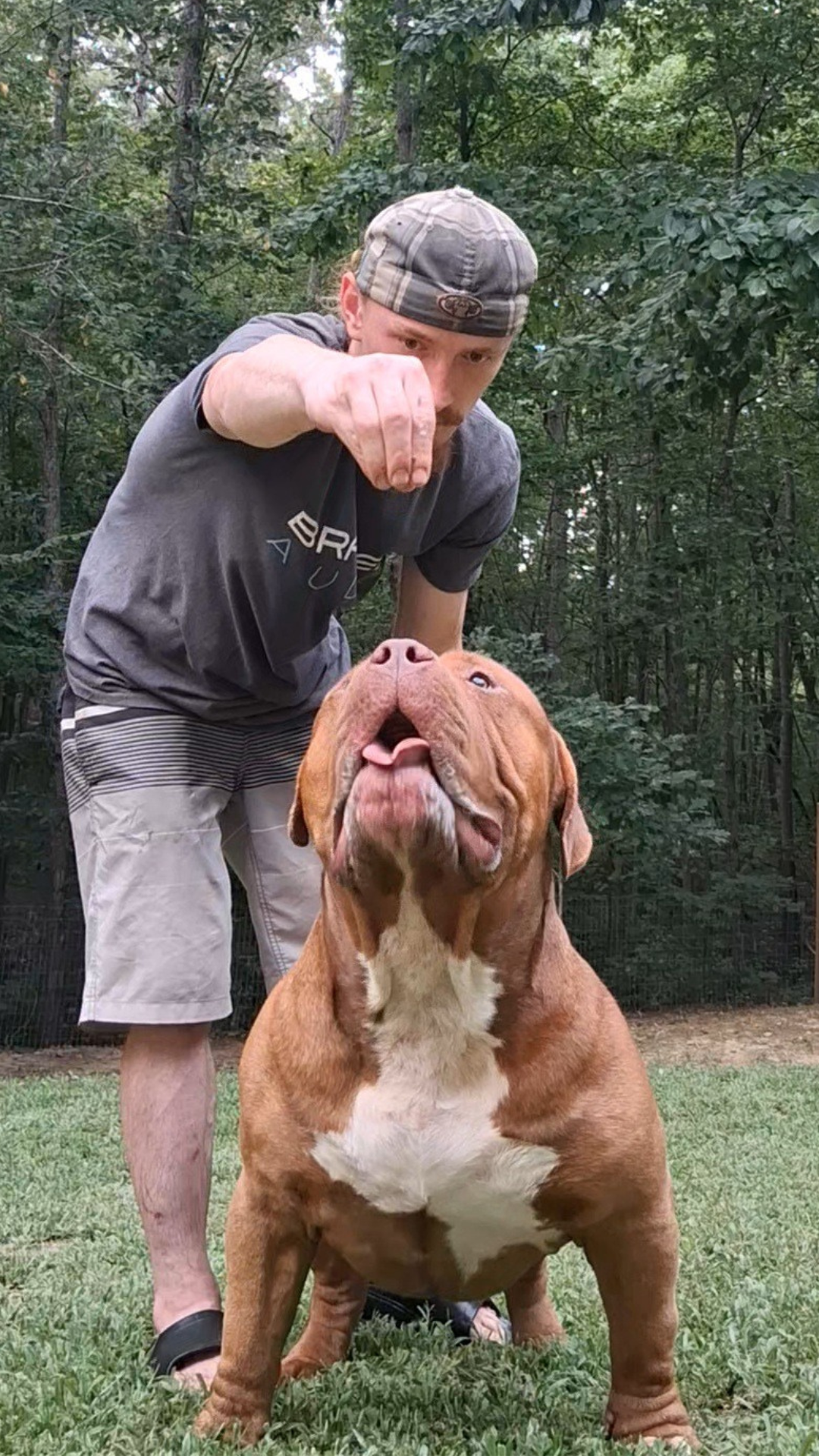 Dog Featured Image