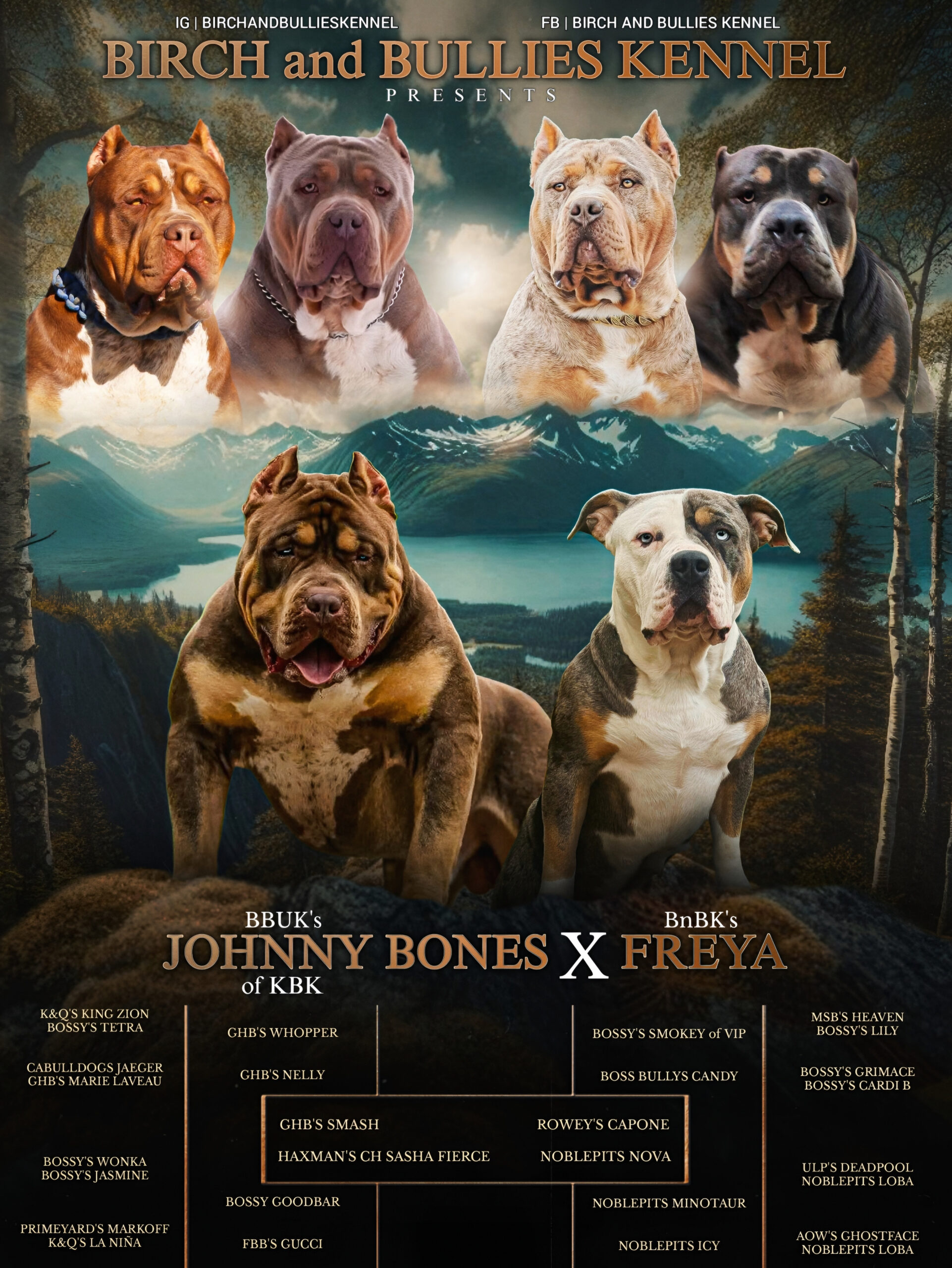 Dog Featured Image