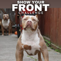 Topnotch_norcal Athena