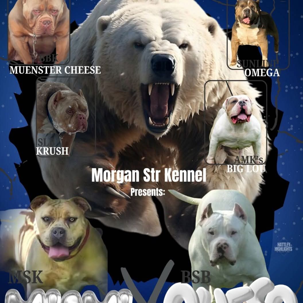 Dog Featured Image