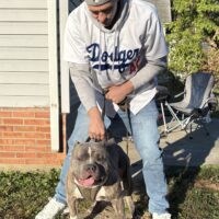 Dog Featured Image