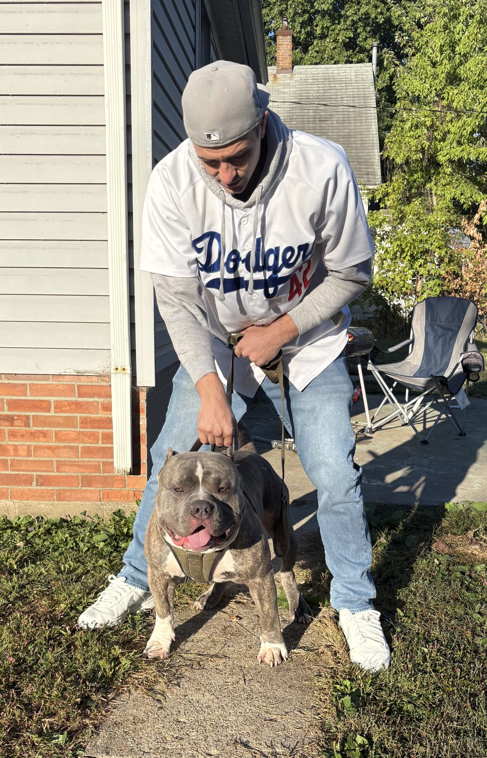 Dog Featured Image