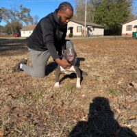 Dog Featured Image