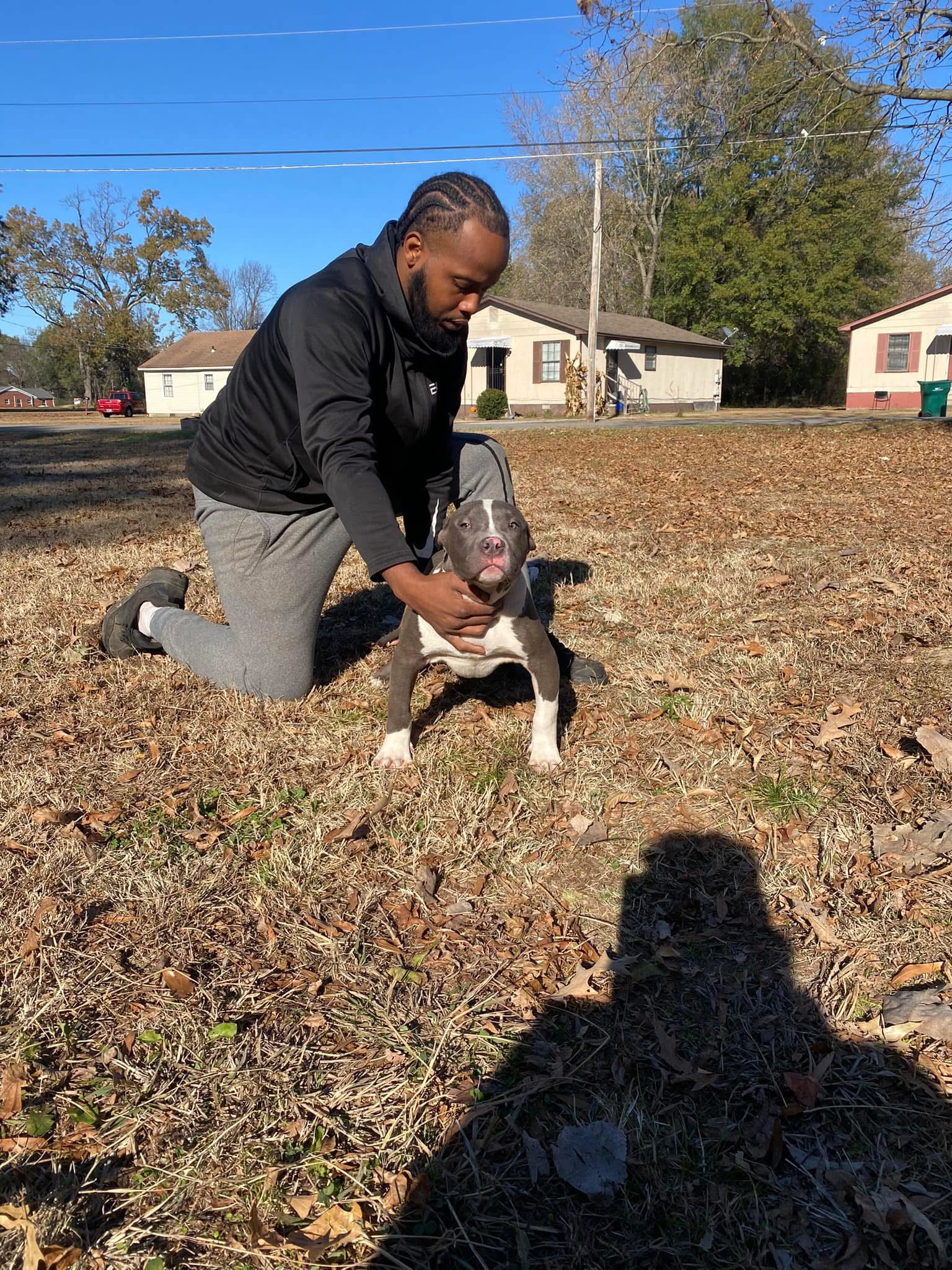 Dog Featured Image