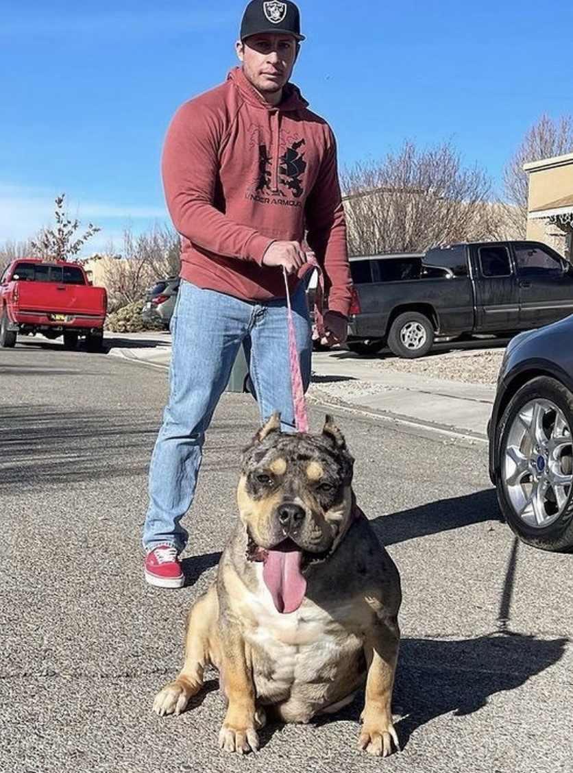 Dog Featured Image