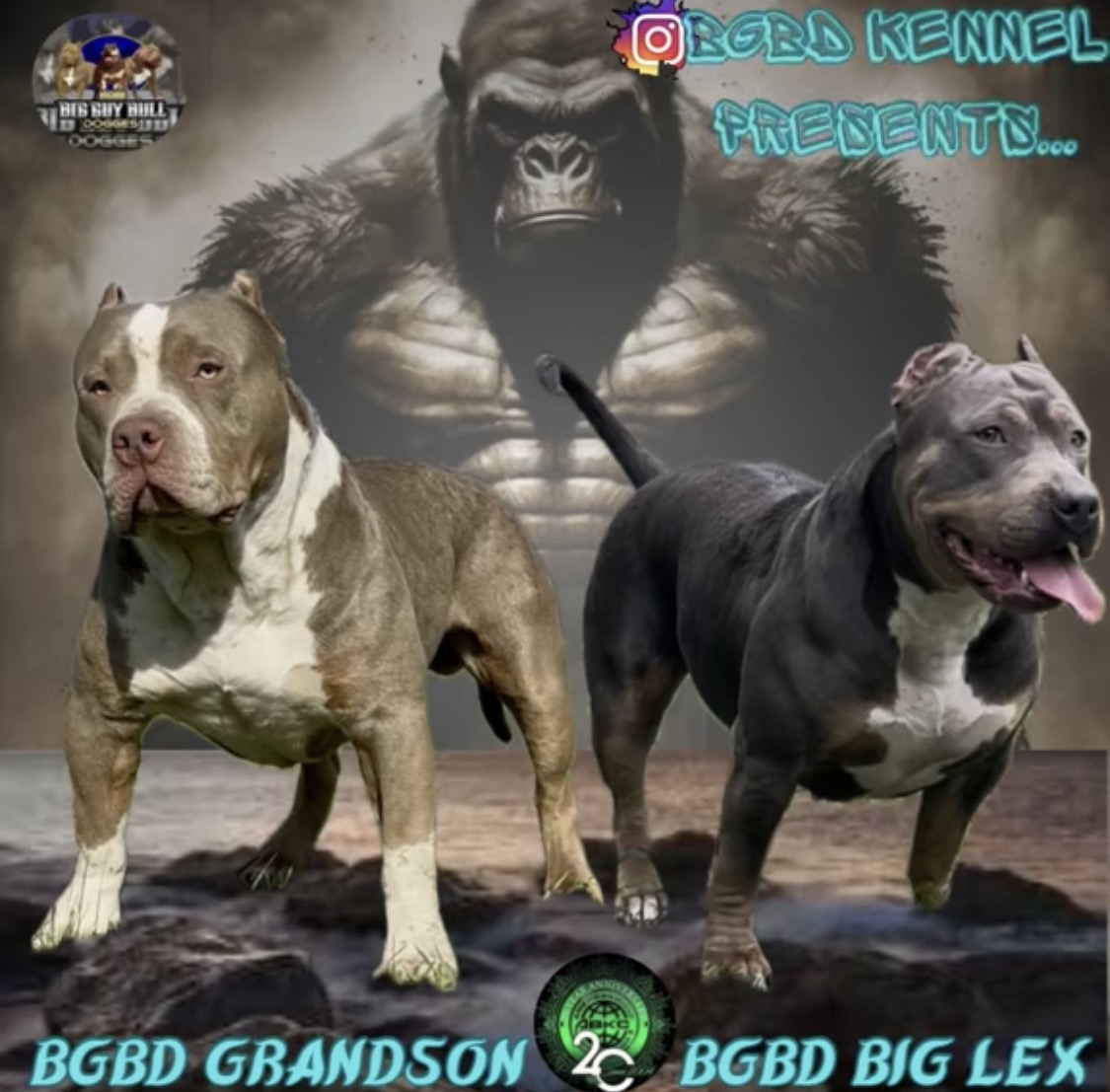 Dog Featured Image
