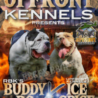 Ice Spice x Buddy Ro