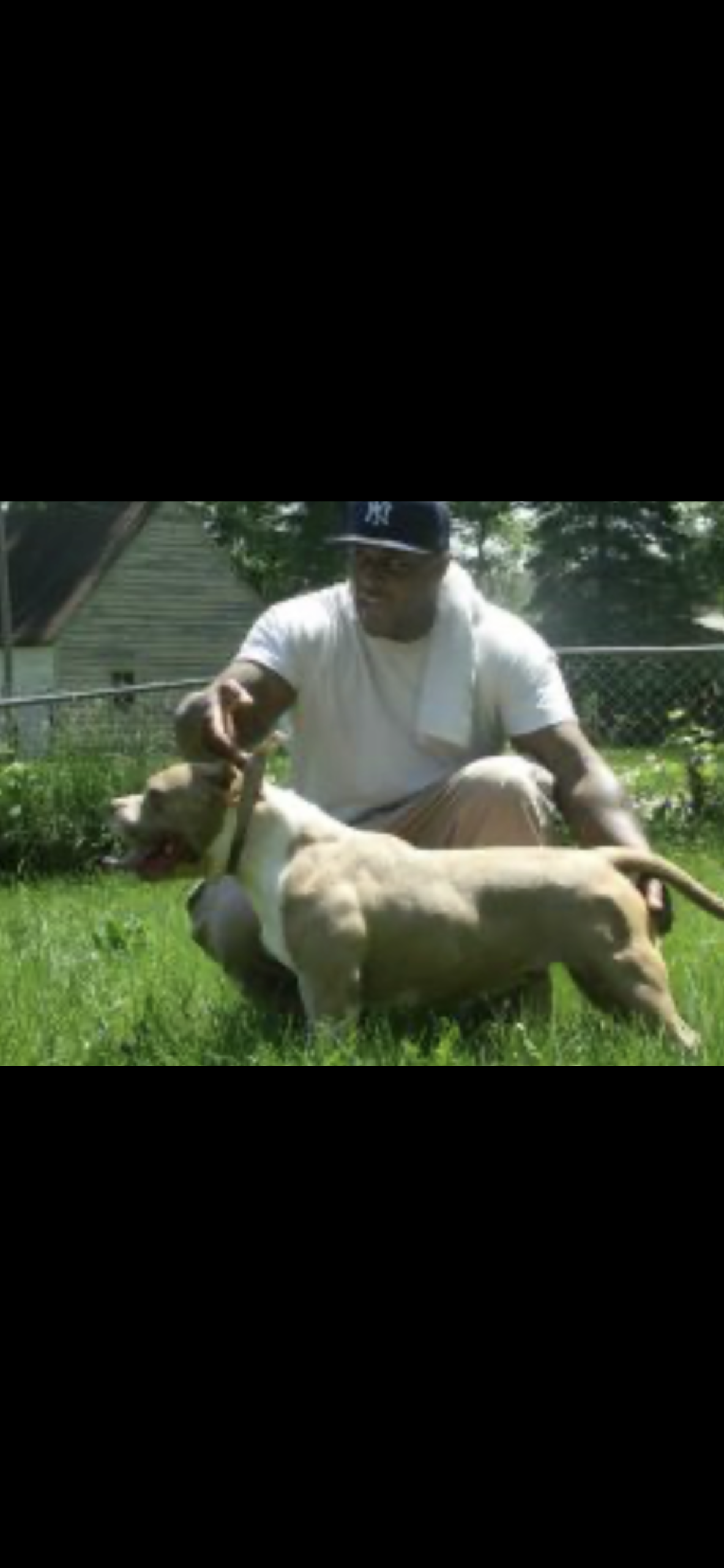 Dog Featured Image