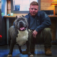 Dog Featured Image
