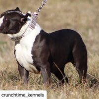 OROZCO MATILDA OF CRUNCHTIME