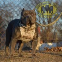 WTXHLB ARKHAM