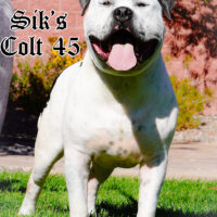 Sik’s Colt45