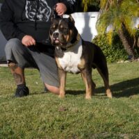 Issa Bullies 38 Special aka Ruger