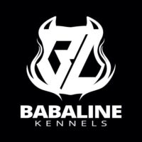 Babaline’s Kayla