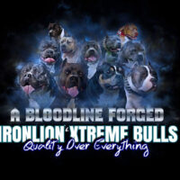 Future Benzoline Rough Draft Pup