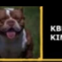 Kbks King