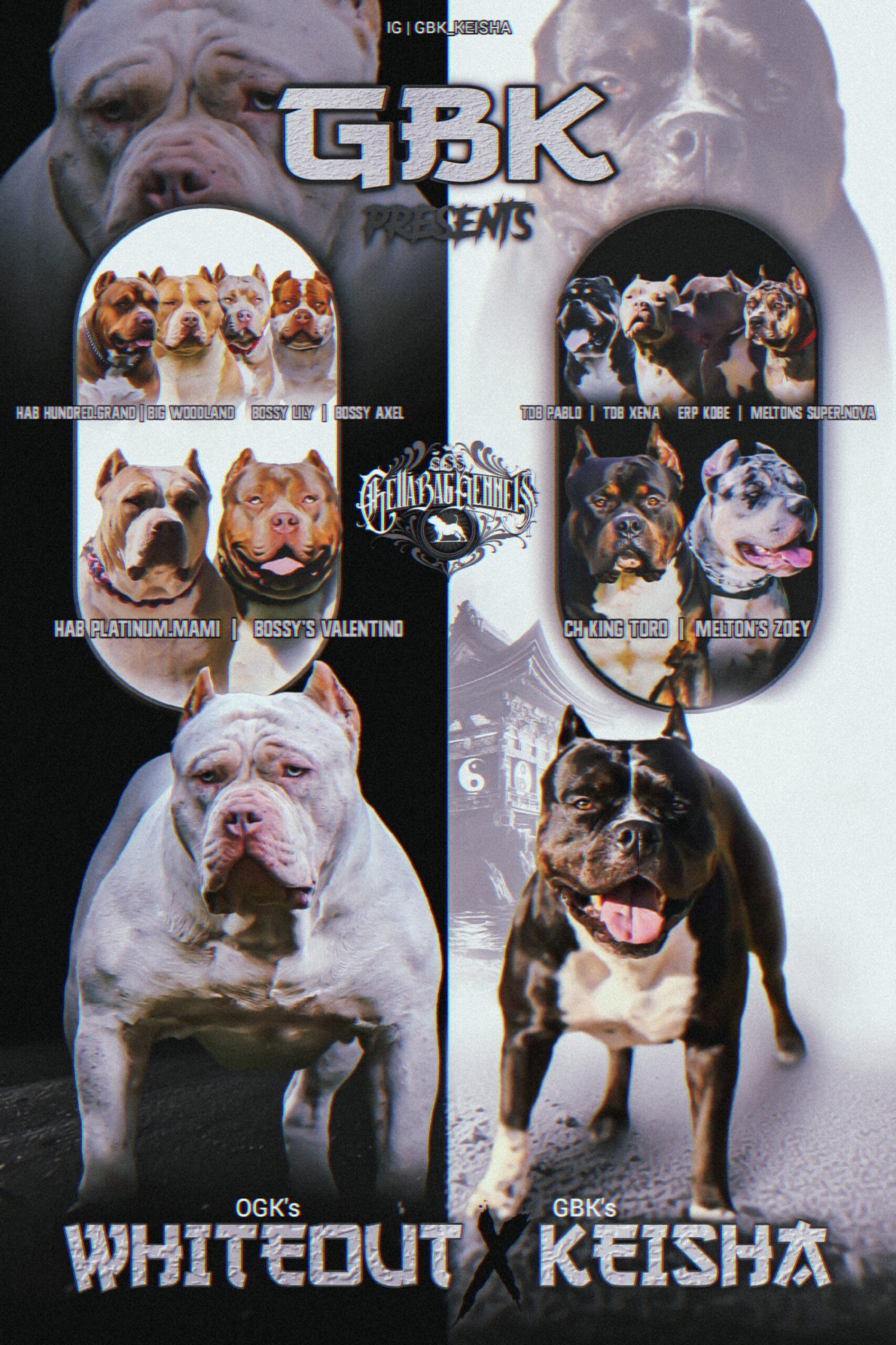 Dog Featured Image
