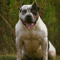 CKB’s Ursula of 27 Bullies