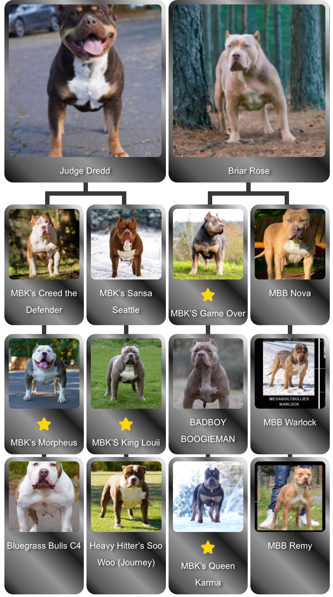 Dog Featured Image