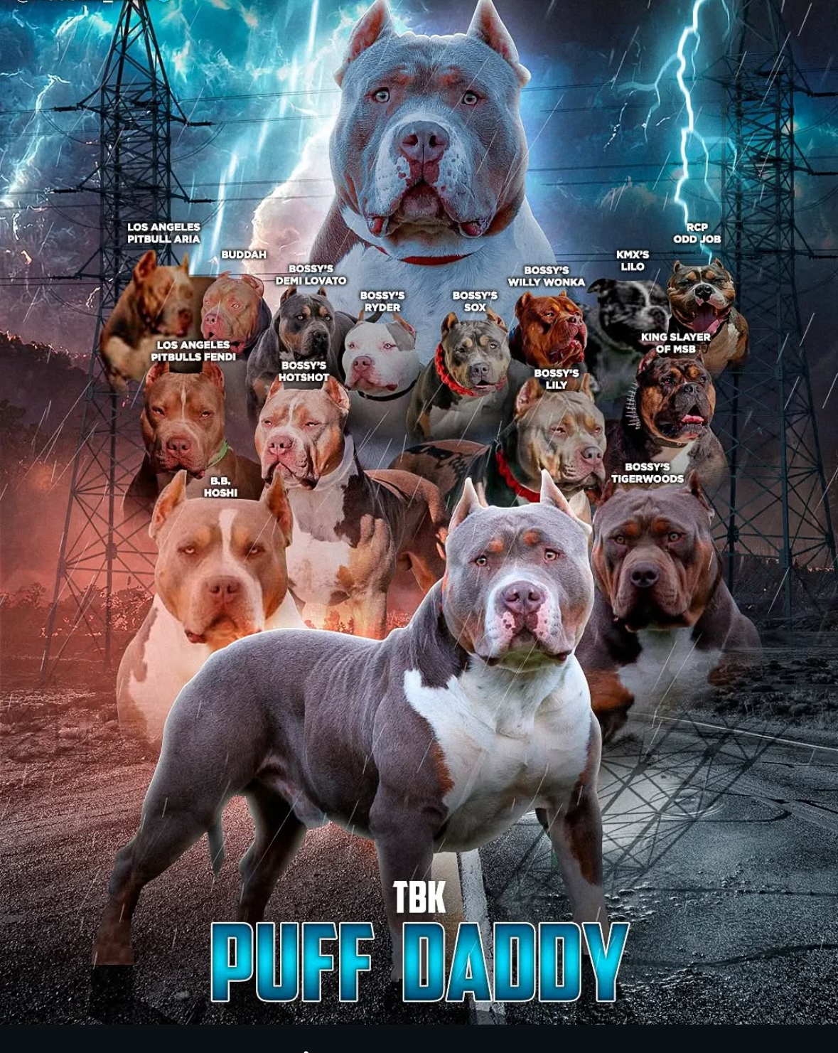 Dog Featured Image