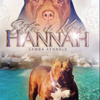 Canil Rocha Hannah of Samba Kennels