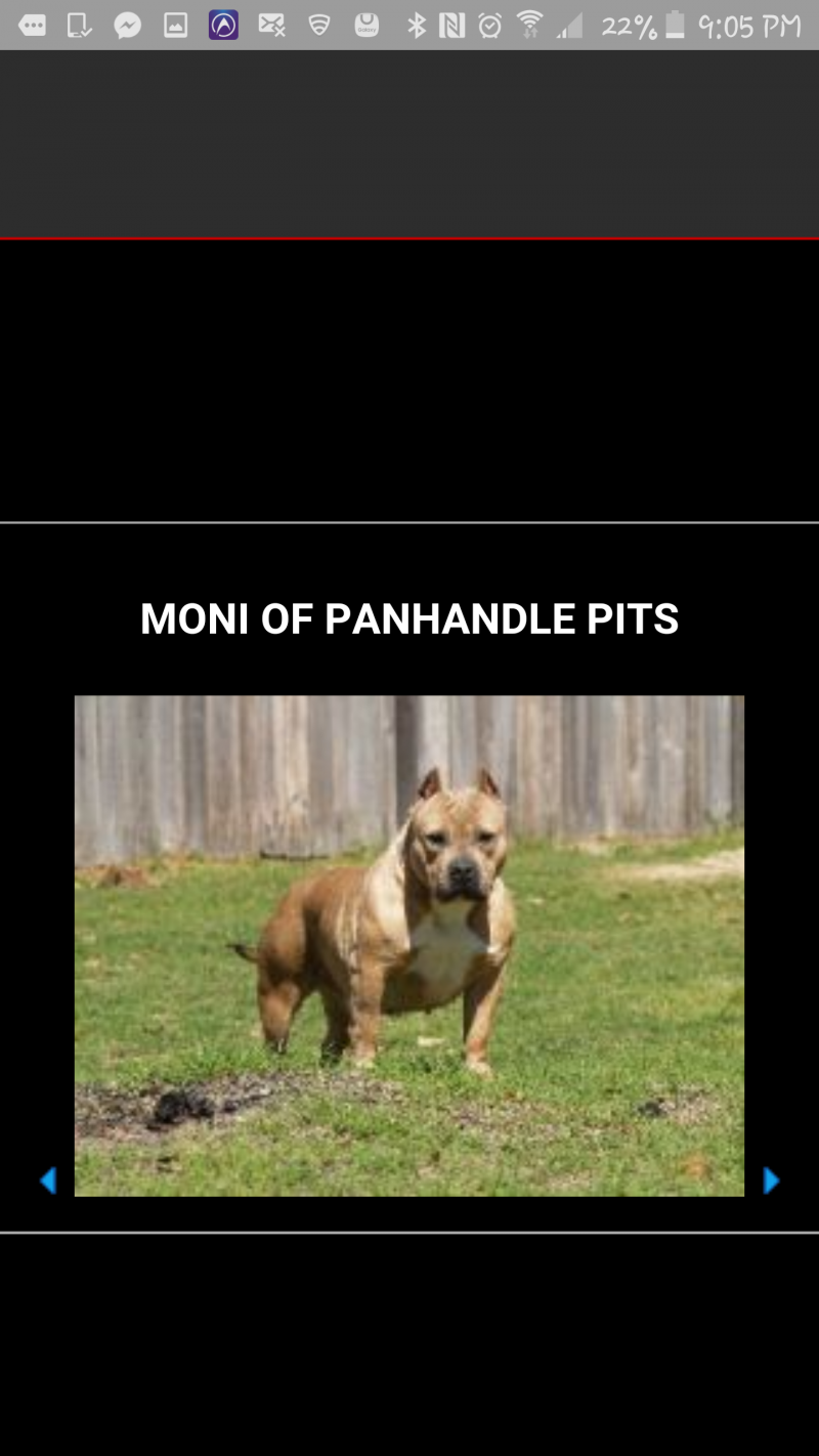 Dog Featured Image
