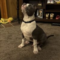 ‘PR’ Kronus K9’s Mars