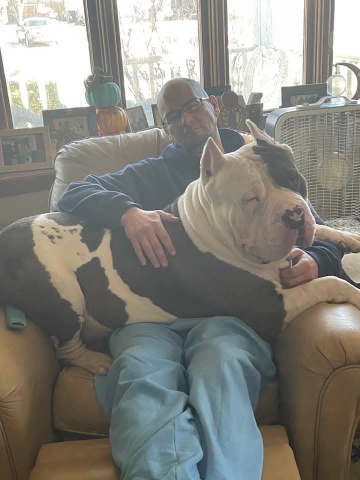 Dog Featured Image