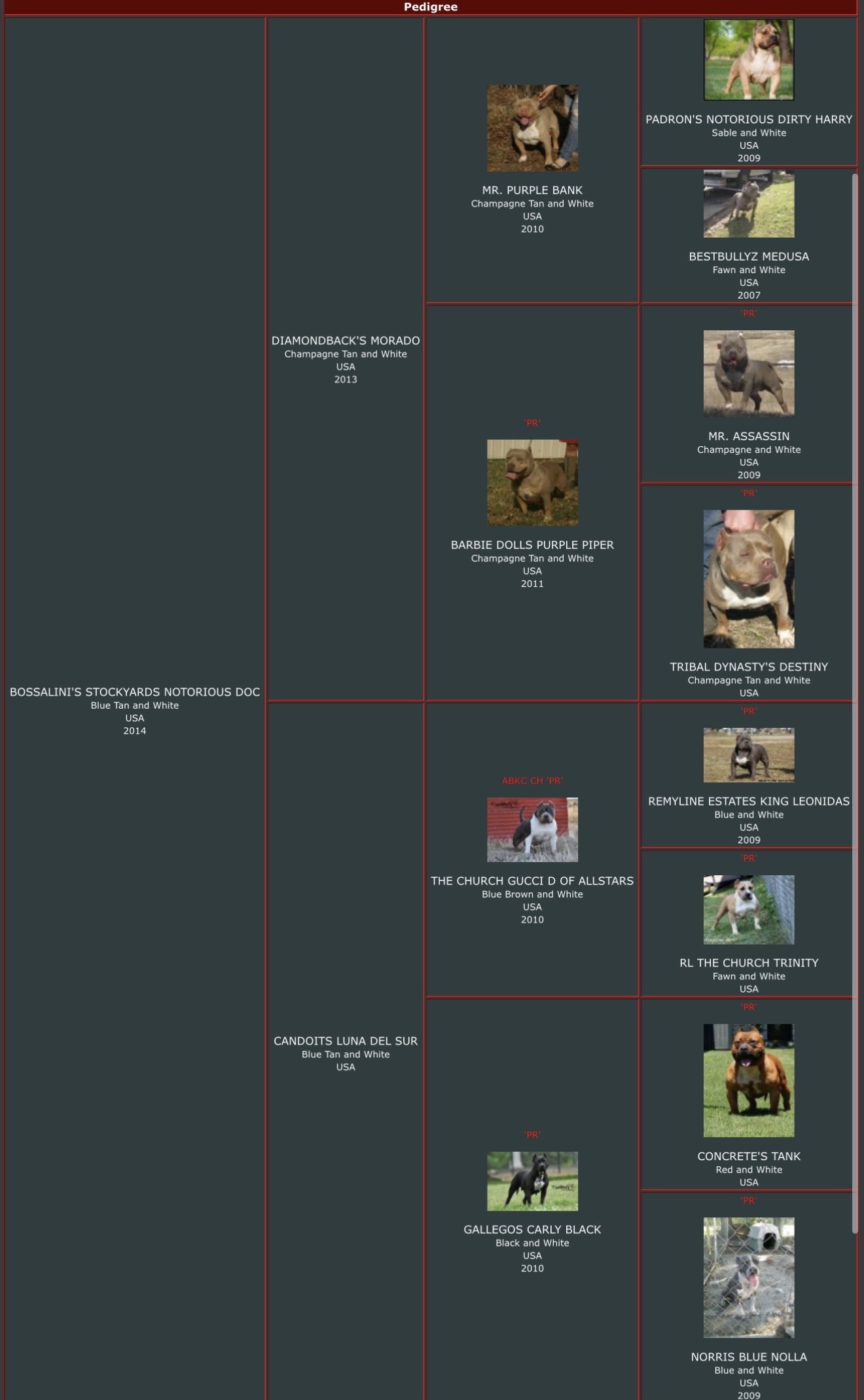 Dog Featured Image