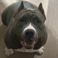 UGBK’s Rosie Hill