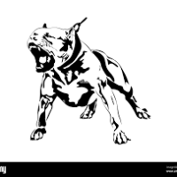 Up coming breeding