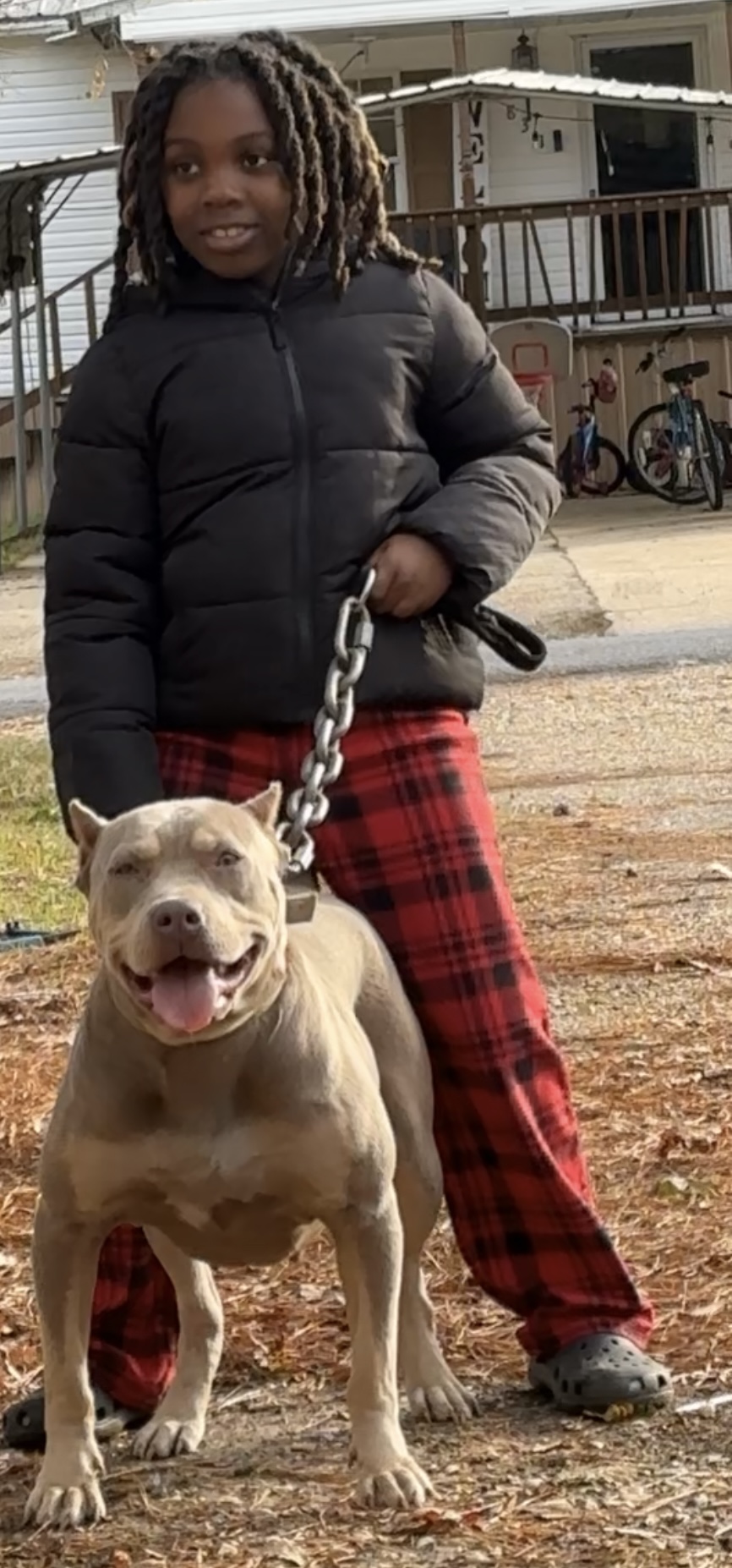 Dog Featured Image
