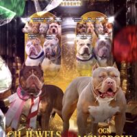 Ch Jewels X Monopoly