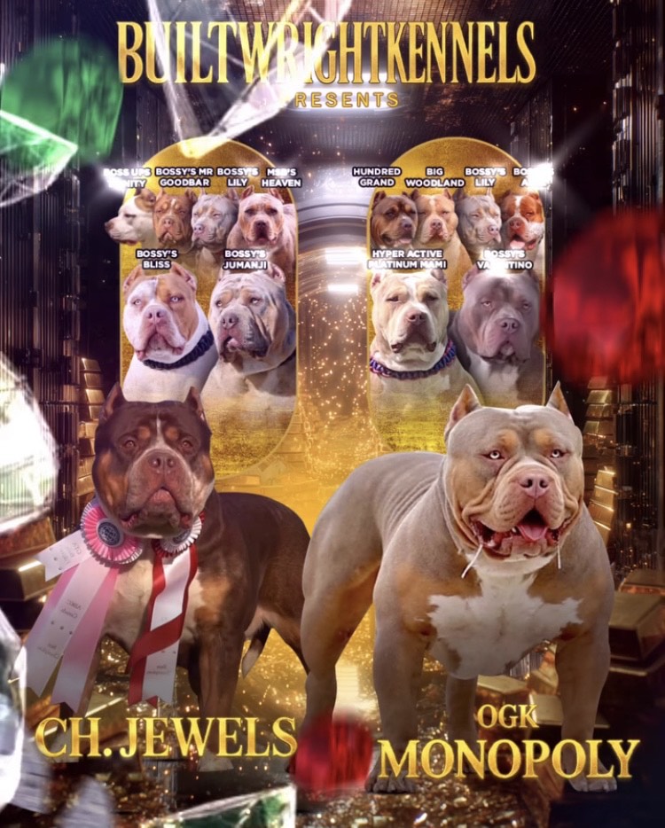 Dog Featured Image