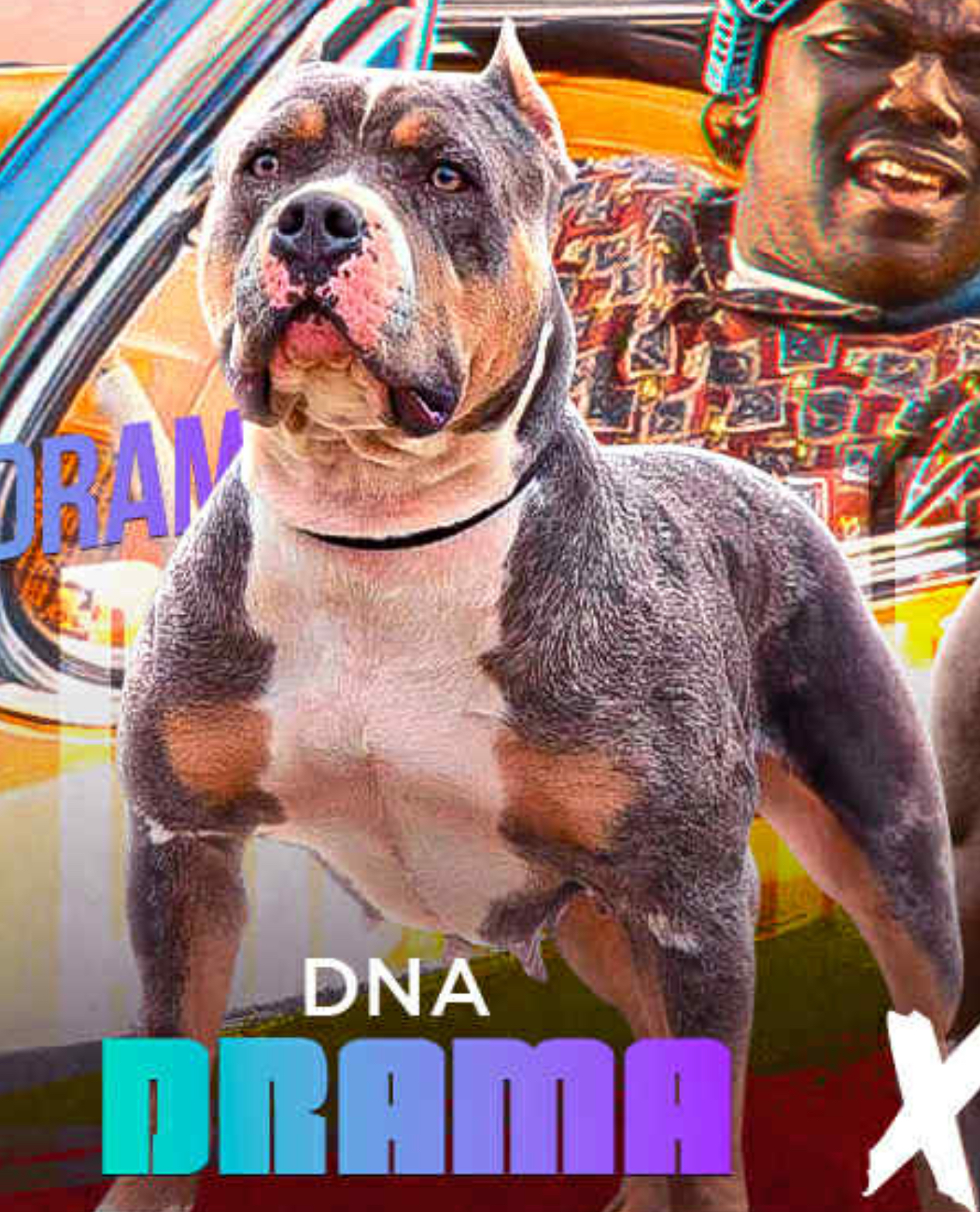 Dog Featured Image