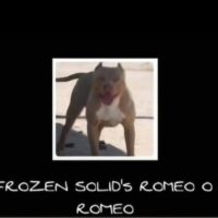FSBs Romeo O Romeo