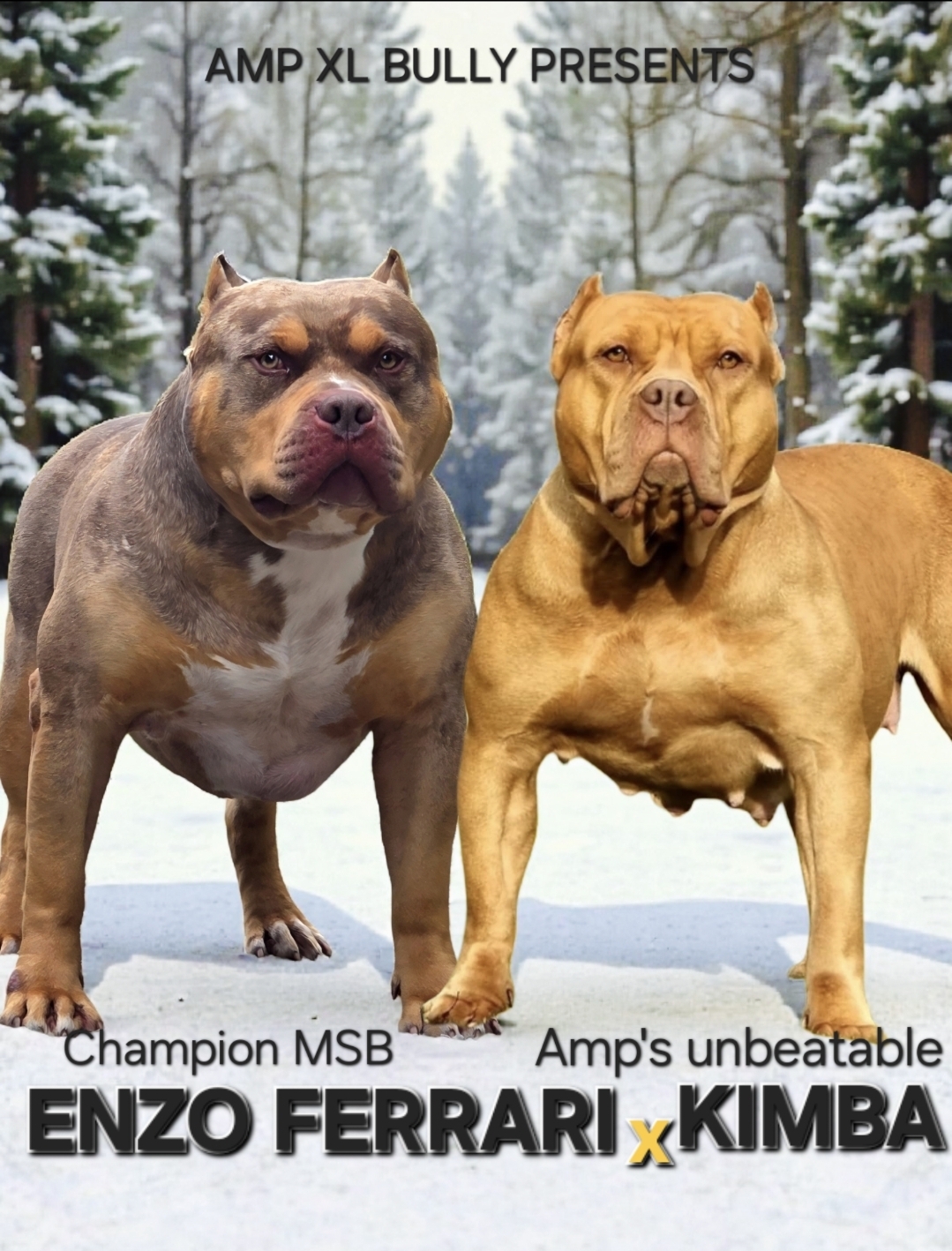 Dog Featured Image