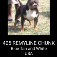 405 REMYLINE CHUNK