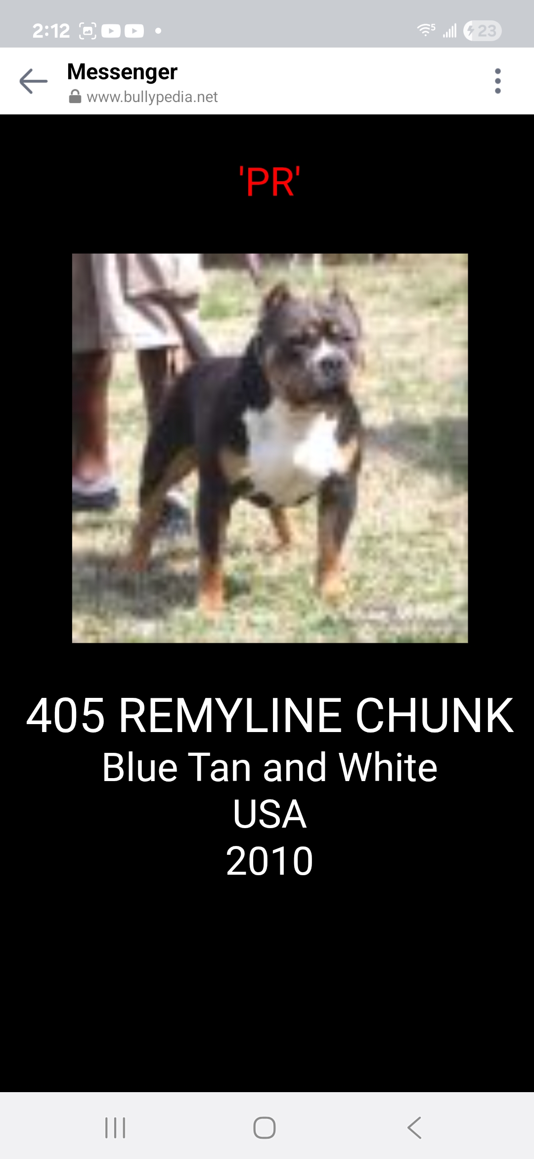 Dog Featured Image