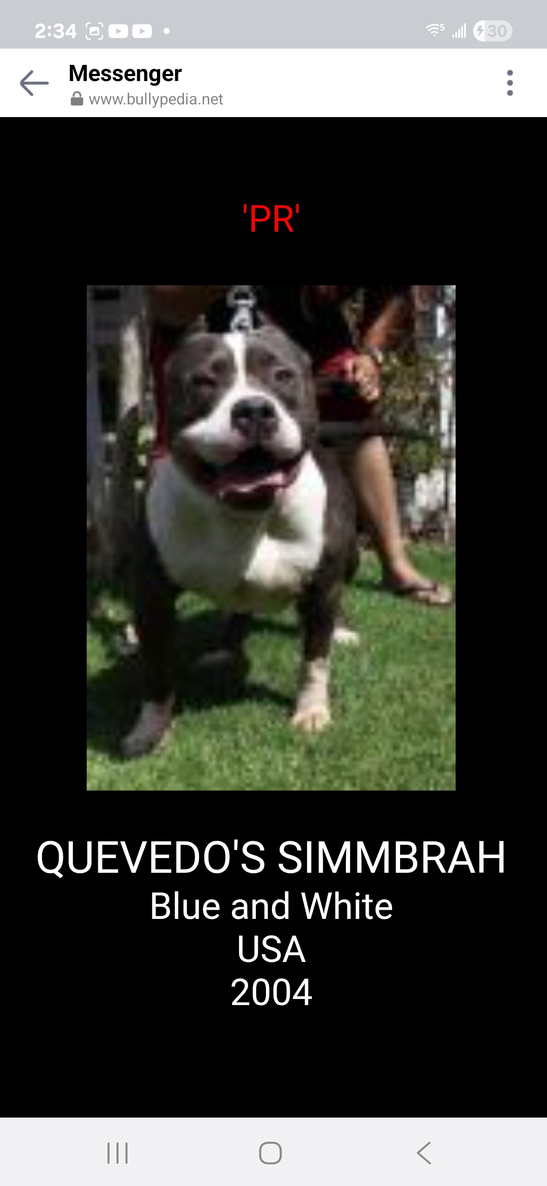 Dog Featured Image